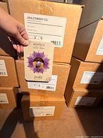 Stacked master cartons labelled JOULZ ENERGY CO. with carded pendant sample