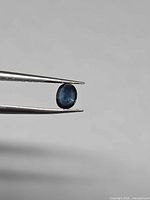 Side profile of oval royal blue sapphire held by tweezers