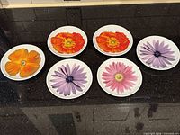 All six floral plates arranged on countertop