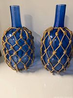 Both blue glass jars side by side showing overall design