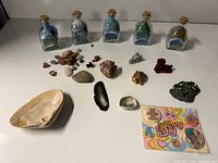 Group shot showing bottles, stones, shells, turtle and CD