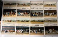 Overall view of 12 signed horse racing photos