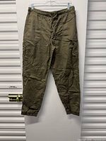 Front view of olive trousers hanging