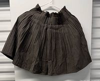 Front view of pleated skirt on hanger