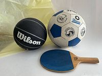 Group shot of Wilson basketball, Spalding soccer ball, blue-faced ping pong paddle