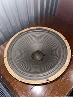 Oblique view of full speaker driver showing cone, dust cap, frame and damage