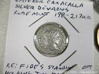 Obverse of Caracalla silver denarius in cardboard flip