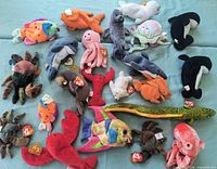 Group shot of all 24 Ty Beanie Babies ocean creatures spread on fabric