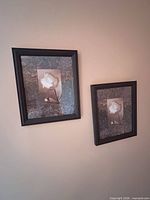 Both framed floral prints hanging on wall showing design and matching frames