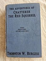 Front cover showing title, series name, and author on textured blue cloth