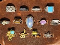 All thirteen rings arranged in velvet tray