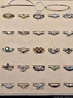 Tray showing 30 rings in five rows and bracelet above