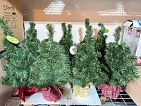 Front view of nine tabletop trees on shelf