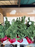 Group of twelve tabletop trees on shelf showing size and red sack bases