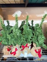 Group of artificial pine trees on shelf showing overall quantity and appearance