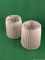 Two pleated silk shades upright showing exterior pleats and inner clips