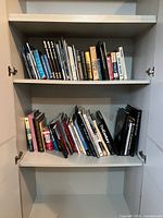 Full view of both shelves showing quantity and variety of books