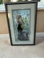 Full view of framed owl print