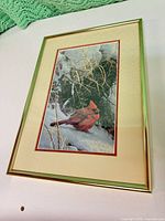 Front view of framed Robert Bateman Red Cardinal print