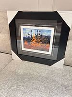 Full view of framed Tom Thomson print with protective corners