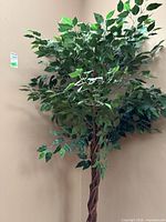 Full view of artificial tree showing variegated leaves and braided trunk