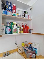 Cabinet with two shelves showing boxed bulbs on top shelf and multiple cleaning bottles plus large chemical jug below