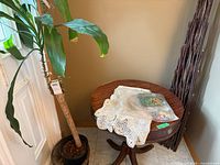 Dracaena plant next to door with table and bamboo trellis visible