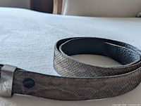 Coiled snakeskin belt showing exterior pattern and black lining