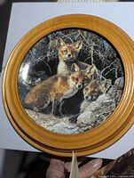 Front view of fox family collector plate mounted in oak frame