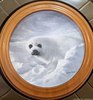 Front view of framed Harp Seal plate