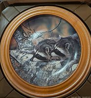 Front view of raccoon artwork plate in oak frame