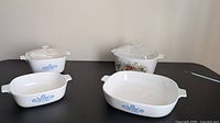 Group shot of all four dishes and two lids
