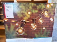 Front of retail box showing Canvas Luna garden string lights