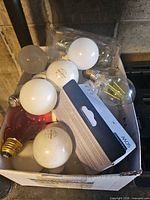 Overview of box showing variety of bulbs