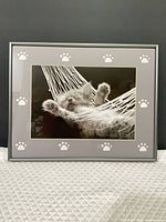 Front view of framed kitten photograph showing mat and frame