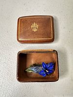 Brooch inside open presentation box, overall view