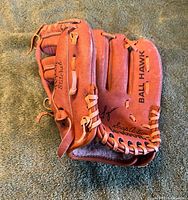 Outer thumb and finger view showing Ball Hawk label, Terry Steinbach autograph, lacing condition