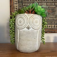 front view of concrete owl planter with succulents visible