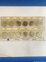 Front view showing both rows of 12 coins in vinyl sleeve