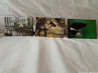 All three presentation envelopes displayed upright on white background