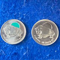 Both quarters reverse showing wood bison, one coloured, one uncoloured