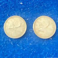 Both 1968 Canadian quarters reverse (caribou)