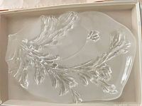Top view of clear and frosted leaf-motif glass tray in box