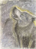 Full view of wolf drawing on paper