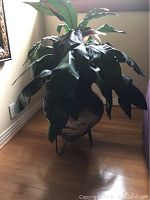 Front view of artificial silk plant with large dark green leaves in rustic pot on black metal stand