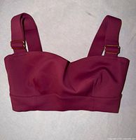 Front view of plum Intimately by Free People bra