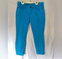 Front view of blue Ann Taylor size 6 capri pants hanging