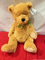 Full view of tan Kids of America teddy bear seated on red surface displaying size and overall appearance