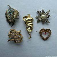 All five brooches laid out on background