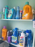 Wide shot two shelves with assorted detergents, cleaners, garden spray